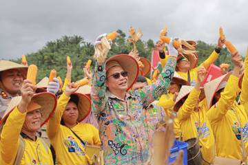Dua Rekor MURI Jagung Diraih Bengkayang Sekaligus
