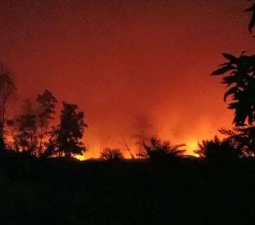 Kebakaran Lahan di Kawasan Serdam, Api Dekati Pemukiman Warga