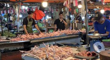 Harga Daging Ayam Naik Jelang Imlek dan Ramadan