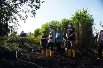 Edi Tinjau Kebakaran di Batas Kota