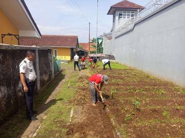 Rutan Banjarnegara Manfaatkan Lahan Sempit untuk Ketahanan Pangan