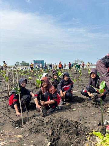 Peduli Pesisir, Ratusan Warga Tanam Mangrove di Karangbenda