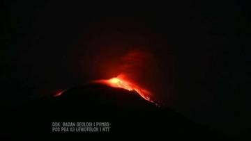Hari ini, Gunung Ile Lewotolok Erupsi 99 Kali
