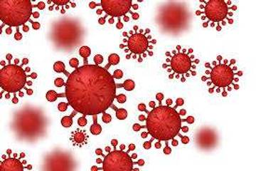 Kemenkes Tingkatkan Kewaspadaan Ancaman Virus Nipah