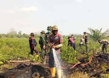 Luas Kebakaran Lahan Aceh Barat Capai 50,2 Hektare