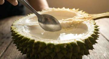Fakta Dibalik Air Putih Dari Kulit Durian