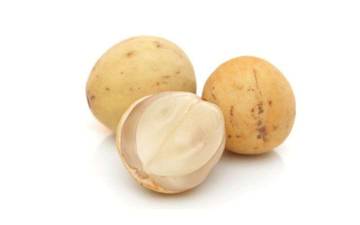 Manfaat Buah Duku Untuk Kesehatan yang Jarang diketahui