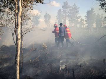 Camat Seluan Imbau Waspada Cuaca Panas