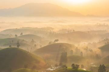 Pembakaran Lahan Terancam Sanksi Pidana