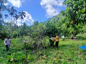 Petani Antusias Dukung Kebun Percontohan Kakao Sabang