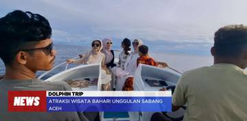 Menikmati "Surga Dunia" di Habitat Asli Lumba-Lumba