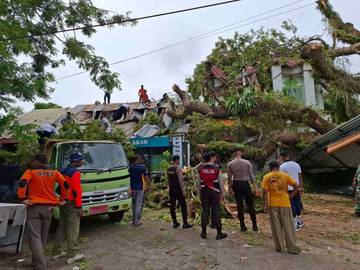 Pohon Tumbang Dominasi Kejadian Bencana di Sabang