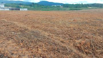 DPRD Mahulu Perkuat Ketahanan Pangan Daerah Melalui Swasembada