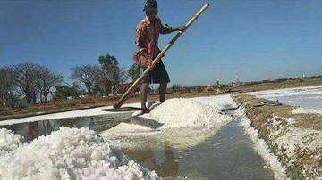 Realisasi Produksi Garam Sampang Tak Optimal