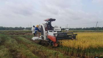 Bangkalan Optimalkan Pasca Panen Dengan Dukungan Teknologi