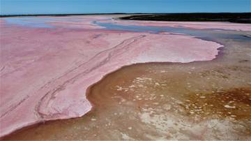 Danau Hillier, Danau Berwarna Pink di Australia 