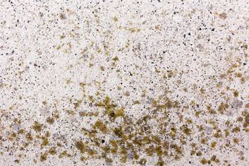 Mengenal Dehumidifier, Solusi Rumah Lembap