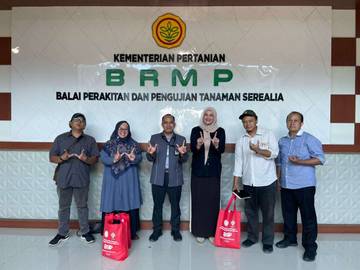 Universitas Wahid Hasyim Uji Adaptasi Jagung Hibrida