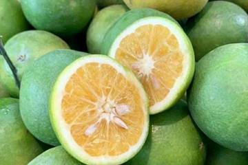 Olahan Segar Jeruk Baby yang Praktis dan Menyegarkan