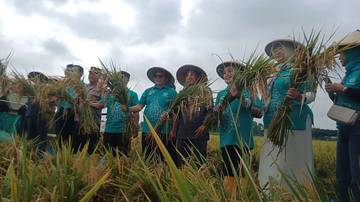Petani Pati Panen Melimpah di Tengah Tantangan Banjir