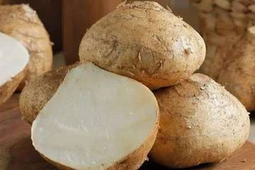 Cara Menyimpan Bengkoang agar Tetap Segar Lebih Lama