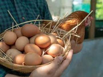 Sayangi Anak dengan Mencukupi Kebutuhan Vitamin D3