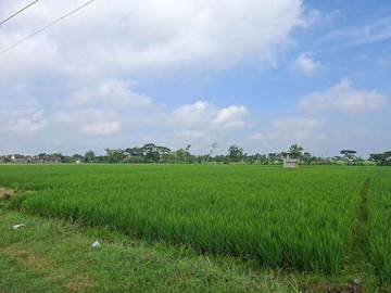 Awas! Pelaku Alih Fungsi Lahan Jateng Bisa Dipidana