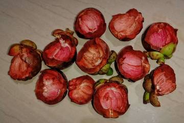 Manfaat Kulit Manggis bagi Kesehatan