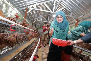 Program Rabu Pon, PKK Jateng Kenalkan Model Peternakan Prospektif