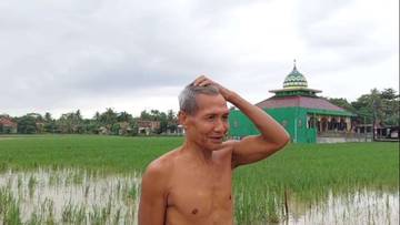 Dampak Banjir Pekalongan, Tanaman Padi Terancam Gagal Panen  