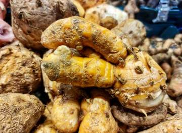 Manfaat Temulawak dan Tips Jitu Jaga Kesehatan Tubuh