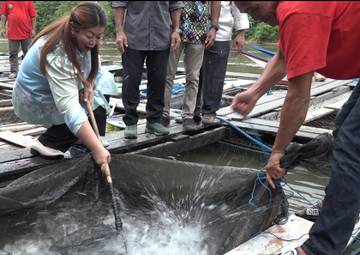 DKPP Mahulu Dorong Pengembangan Perikanan Unggulan Daerah Berkelanjutan