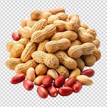 Jangan Salah Masak:  Rahasia Kacang Tanah Empuk Sempurna 