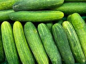 Buah Mentimun: Si Hijau Menyegarkan Dengan Aneka Olahannya