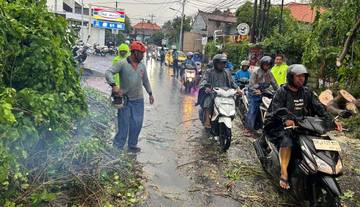 Pohon Tumbang Depan Indomaret, Polisi Dan BPBD Bergerak