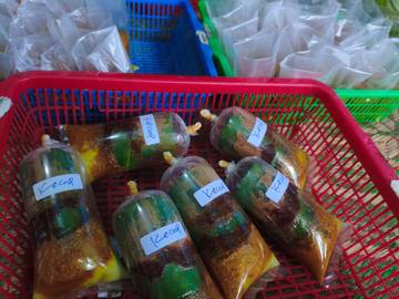 Mila Bumbu Mudahkan Masak Ibu-Ibu   