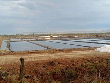 Sinyal Provider Sering Gangguan, Halo RRI Teruskan Keluhan