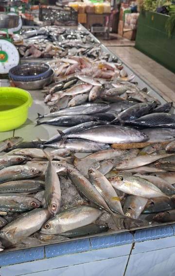 Harga Ikan di Pasar Higienis masih Relatif Mahal 