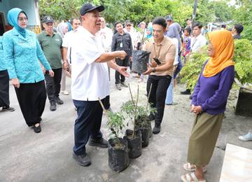 Penerima Bibit Cabai Program GENCAR Harus Rawat Pertumbuhannya