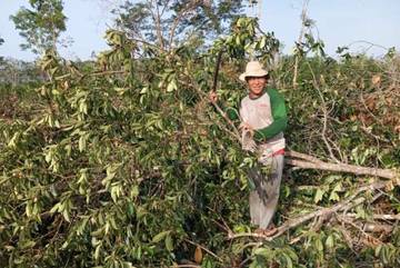 Pemkab Bangka Keluarkan Himbauan Cegah Karhutla