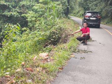 Double Cabin Terjun ke Jurang, Dua Korban Hilang