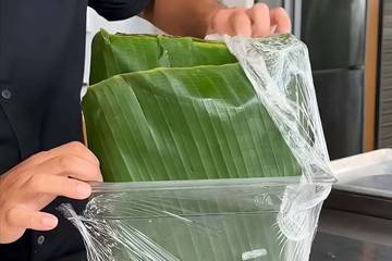 Cara Simpan Daun Pisang Awet Sampai Tiga Minggu