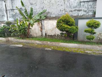 Mengapa Aroma Tanah Setelah Hujan Begitu Menenangkan?