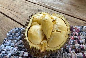 Durian Premium Bener Meriah Panen Perdana saat Bencana