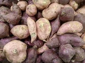 Mengenal Manfaat Makan Ubi Manis 