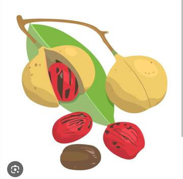 Buah Pala: Rempah Aromatik Kaya Manfaat Untuk Kesehatan