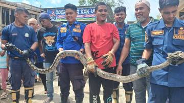 Damkar Tanjungbalai Evakuasi Ular Sepanjang 3 Meter