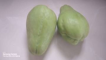 Cegah Penuaan Dini dengan Tanaman Labu Siam