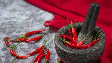 Budidaya Cabai Rawit di Pekarangan Rumah