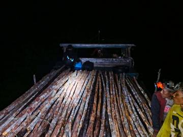 Polres Lingga Amankan 1.000 Batang Kayu Bakau Ilegal
